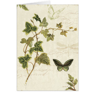 Lierres et papillons