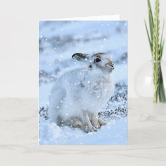 Lièvre blanc dans la carte à neige