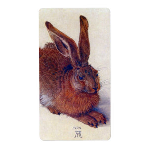 Lièvre jeune par Albrecht Durer, Art Renaissance