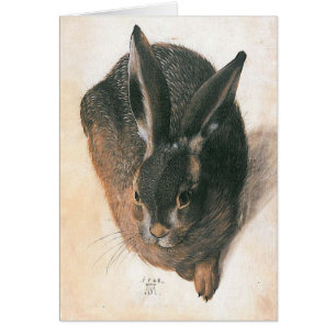 Lièvres par Albrecht Durer