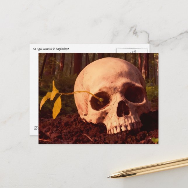 Life and Death Postcard (Front/Back In Situ)