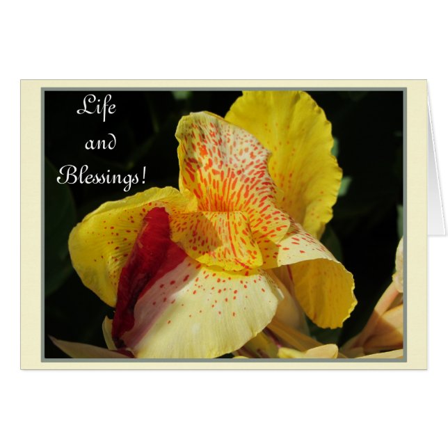 Life Blessings! (Front Horizontal)