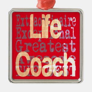 Life Coach Extraordinaire Metal Ornament