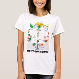 Life Cycle Of A Flower (Angiosperm) T-Shirt