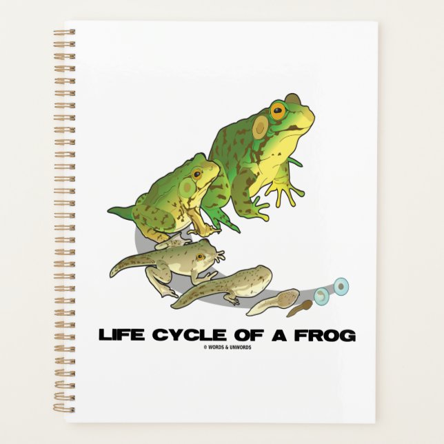 Life Cycle Of A Frog From Egg To Tadpole To Frog Planner (Front)