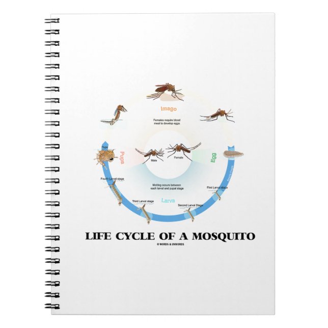 Life Cycle Of A Mosquito (Egg Larva Pupa Imago) Notebook (Front)