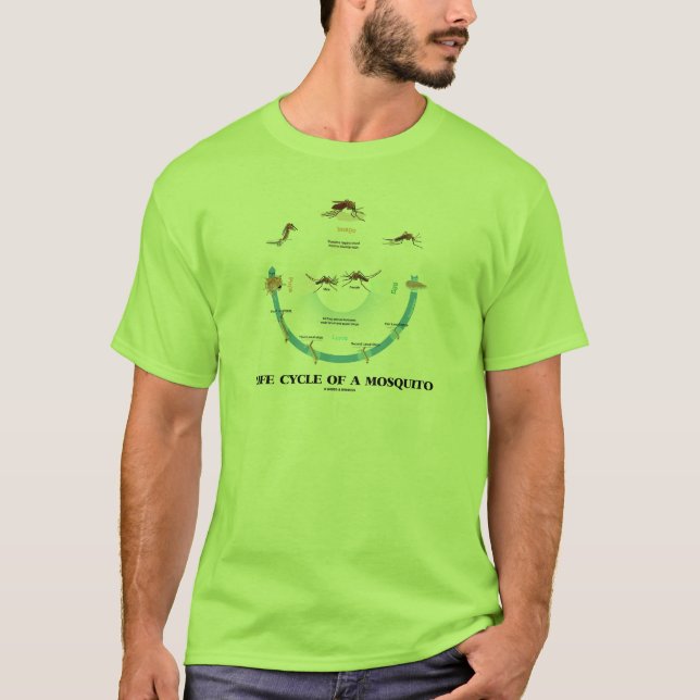 Life Cycle Of A Mosquito (Egg Larva Pupa Imago) T-Shirt (Front)