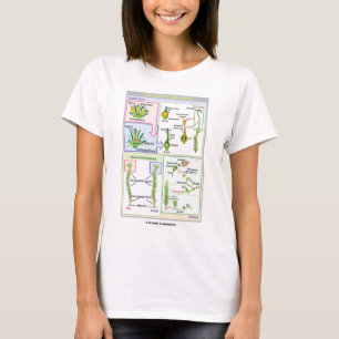 Life Cycle Of A Typical Moss (Bryophyte) T-Shirt