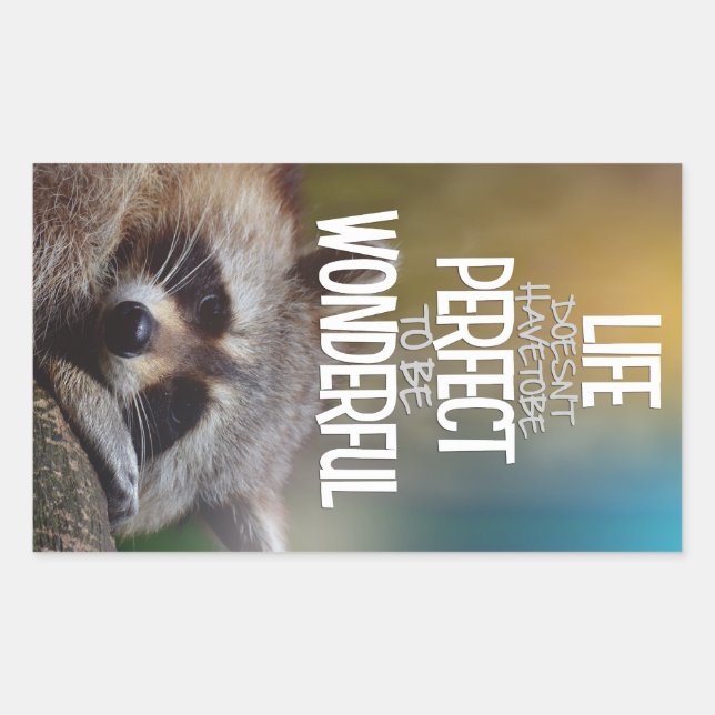 LIfe DoesntHave ToBe Perfect Raccoon Inspirational Sticker (Front)