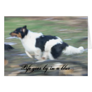 Life goes by in a blur...