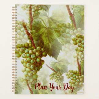 Life in Order: Daily, Weekly, Monthly Planner