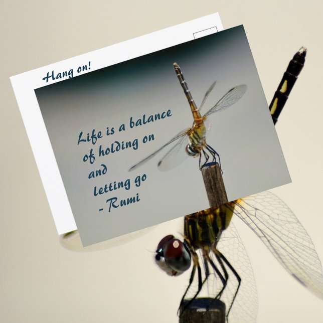 Life is a Balance Quote Dragonfly Photographic Postcard (Creator Uploaded)