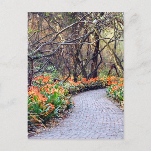 Life is a journey postcard (Front)