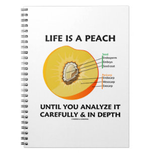 Life Is A Peach Until You Analyze Carefully Depth Notebook