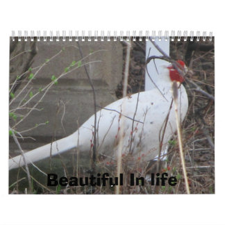 Life is Beautiful Calendar