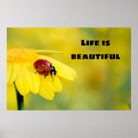 Life is beautiful - Ladybug
