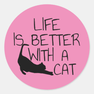 Life Is Better With A Cat  Classic Round Sticker