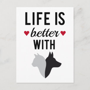 Life is better with cat and dog, text design postcard