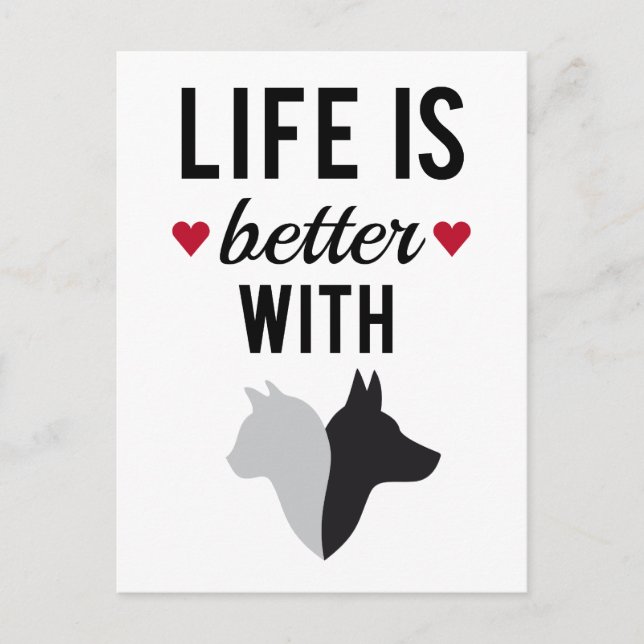Life is better with cat and dog, text design postcard (Front)