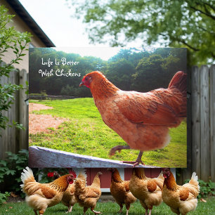 Life Is Better With Chickens Postcard
