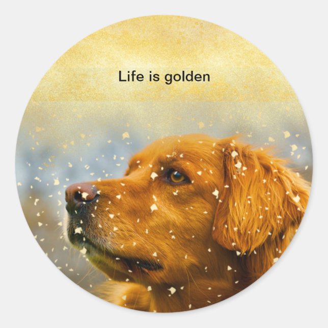 life is golden golden retriever sticker. classic round sticker (Front)