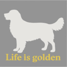 Life is golden with a retriever