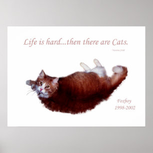 Life is hard...then there are Cats. Poster