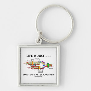 Life Is Just ... One Twist After Another (DNA) Keychain