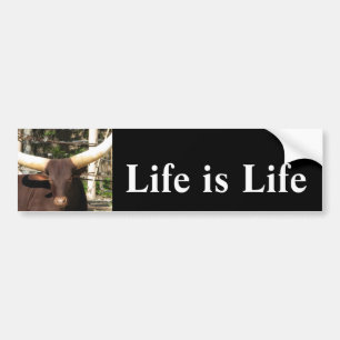 Life is Life Bumper Sticker