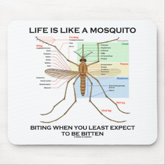 Life Is Like A Mosquito Biting When Least Expect Mouse Pad