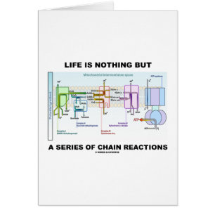 Life Is Nothing But A Series Of Chain Reactions