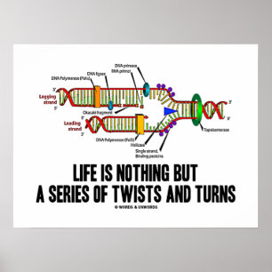 Life Is Nothing But A Series Of Twists And Turns Poster