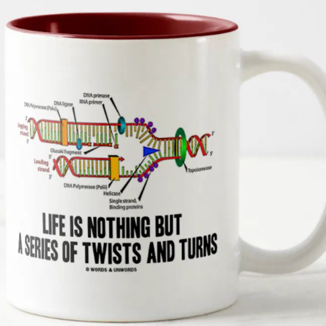 Life Is Nothing But A Series Of Twists And Turns Two-Tone Coffee Mug (Molecular biology attitude mug featuring DNA replication & funny life saying)