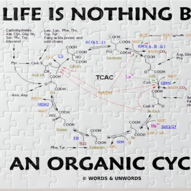 Life Is Nothing But An Organic Cycle Krebs Cycle Jigsaw Puzzle (Jigsaw puzzle for any Krebs cycle enthusiast)