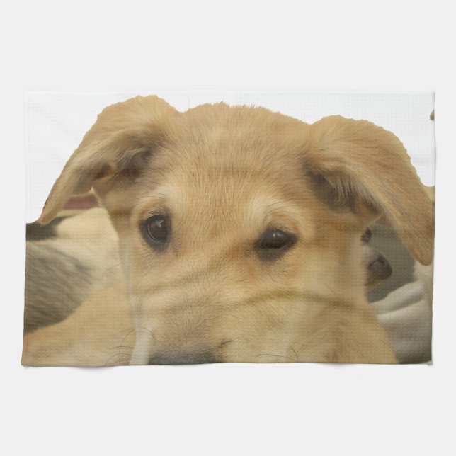 "Life is the Toughest School" Dog Art Print Kitchen Towel (Horizontal)