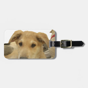 "Life is the Toughest School" Dog Art Print Luggage Tag