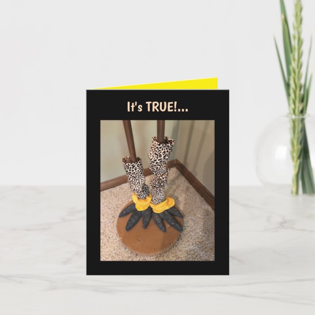 Life is too Short...Folded Greeting Card (Front)