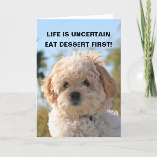 LIFE IS UNCERTAIN, EAT DESSERT F... CARD