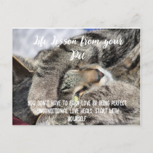 Life Lesson from your Pet Motivational Holiday Postcard