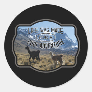 Life Made for a Cool Adventure - Llama Quote Classic Round Sticker