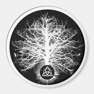 life magnet