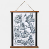 Life of a Young Gorilla