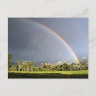Life on the Blackman Ranch Postcard