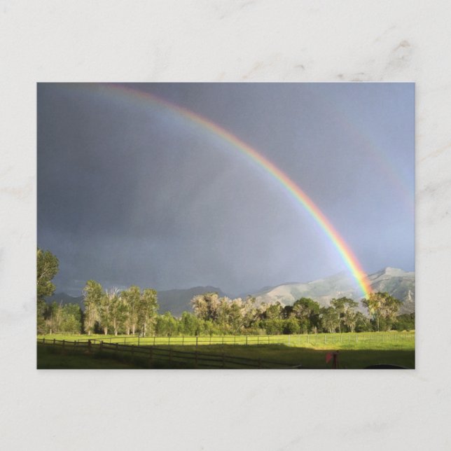 Life on the Blackman Ranch Postcard (Front)