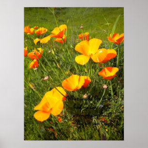 Life Poster