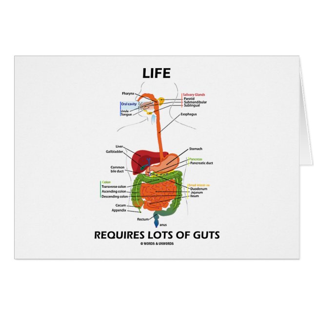 Life Requires Lots Of Guts (Digestive System) (Front Horizontal)