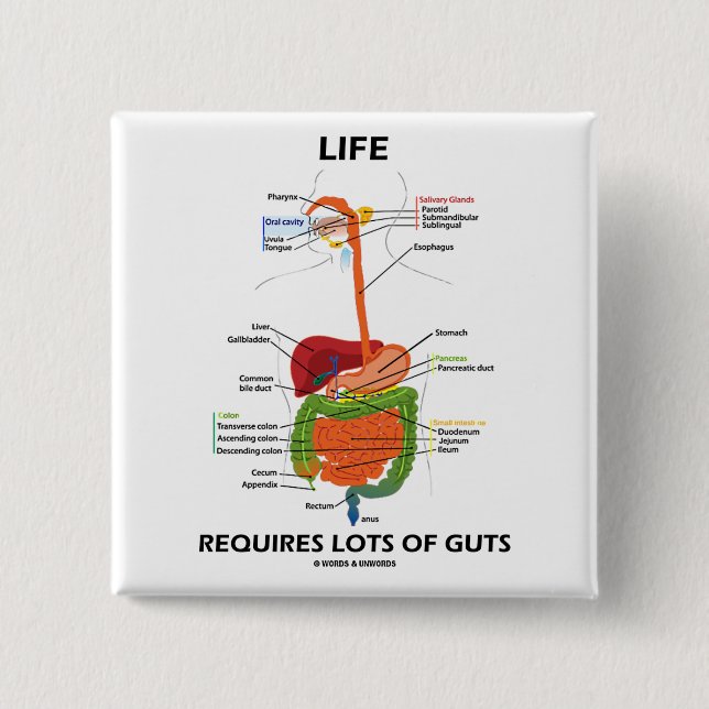 Life Requires Lots Of Guts (Digestive System) 2 Inch Square Button (Front)