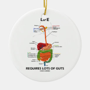 Life Requires Lots Of Guts (Digestive System) Ceramic Ornament
