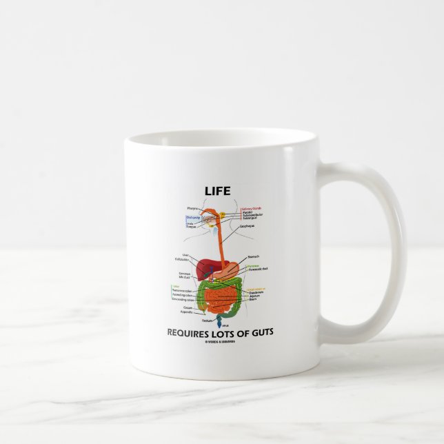 Life Requires Lots Of Guts (Digestive System) Coffee Mug (Right)