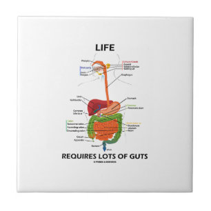 Life Requires Lots Of Guts (Digestive System) Tile